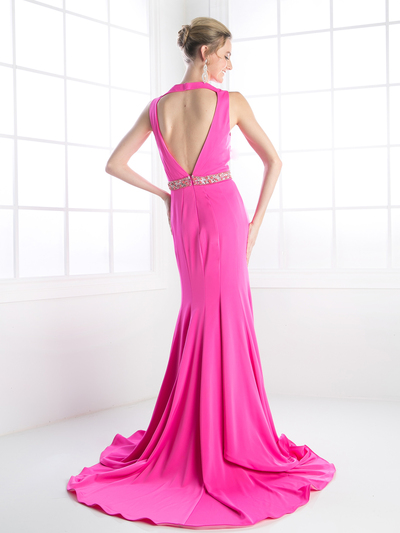 CD-P107 Elegant Long Evening Dress - Fuchsia, Back View Medium