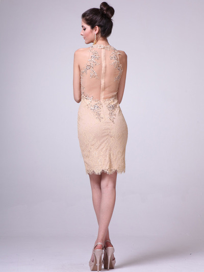 JC3455 Illusion Yoke Embroidery Sheath Dress         - Gold, Back View Medium